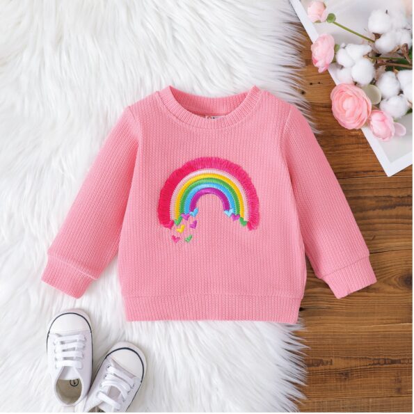 Baby Girl/Boy Rainbow Embroidered Textured Pullover Sweatshirt